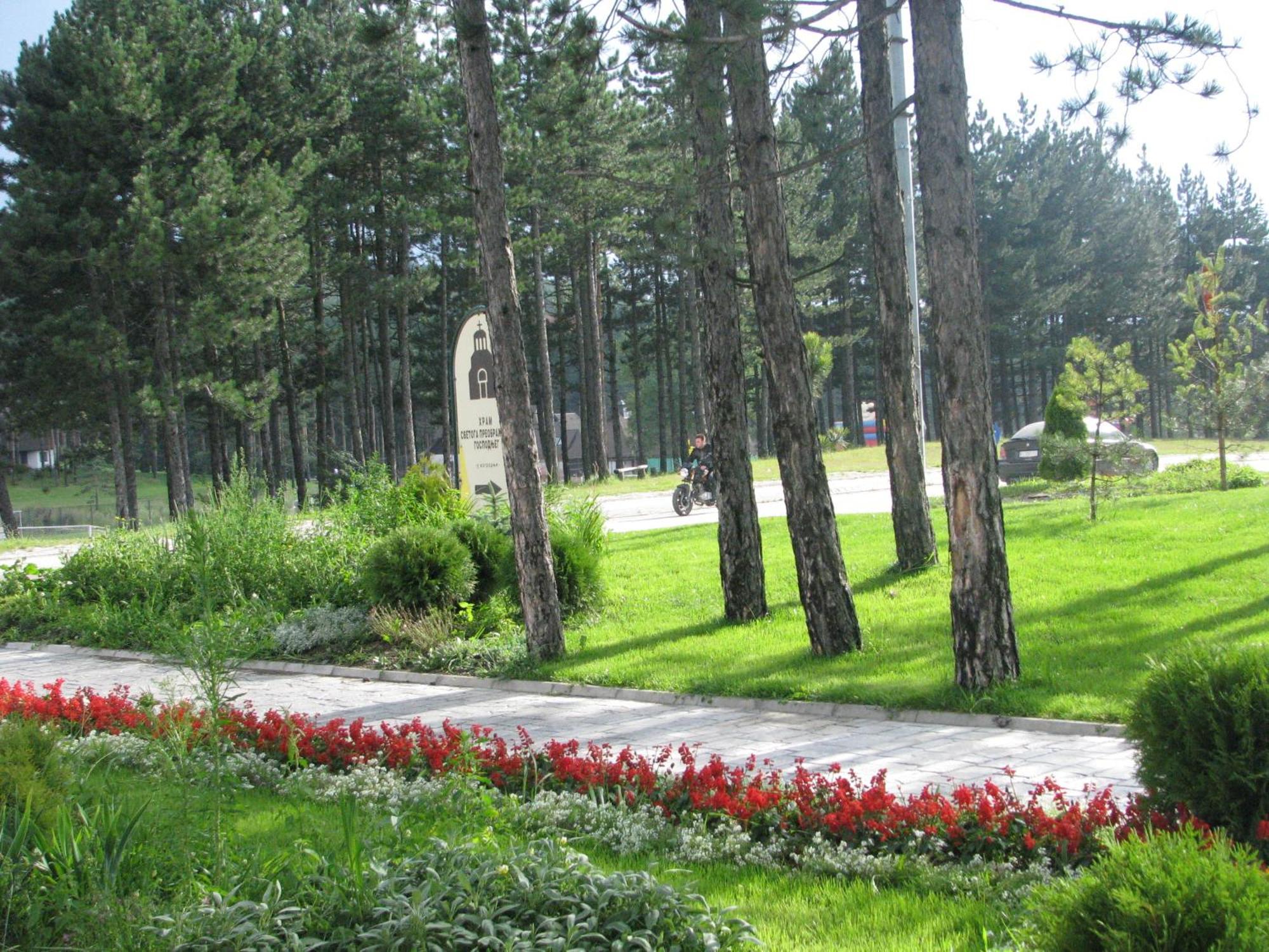 To Apartment Zlatibor
